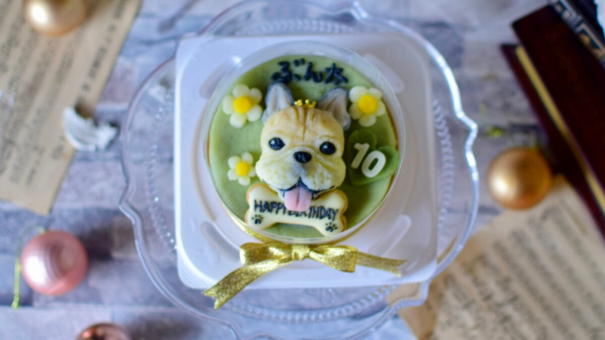 ペット専用のケーキの写真