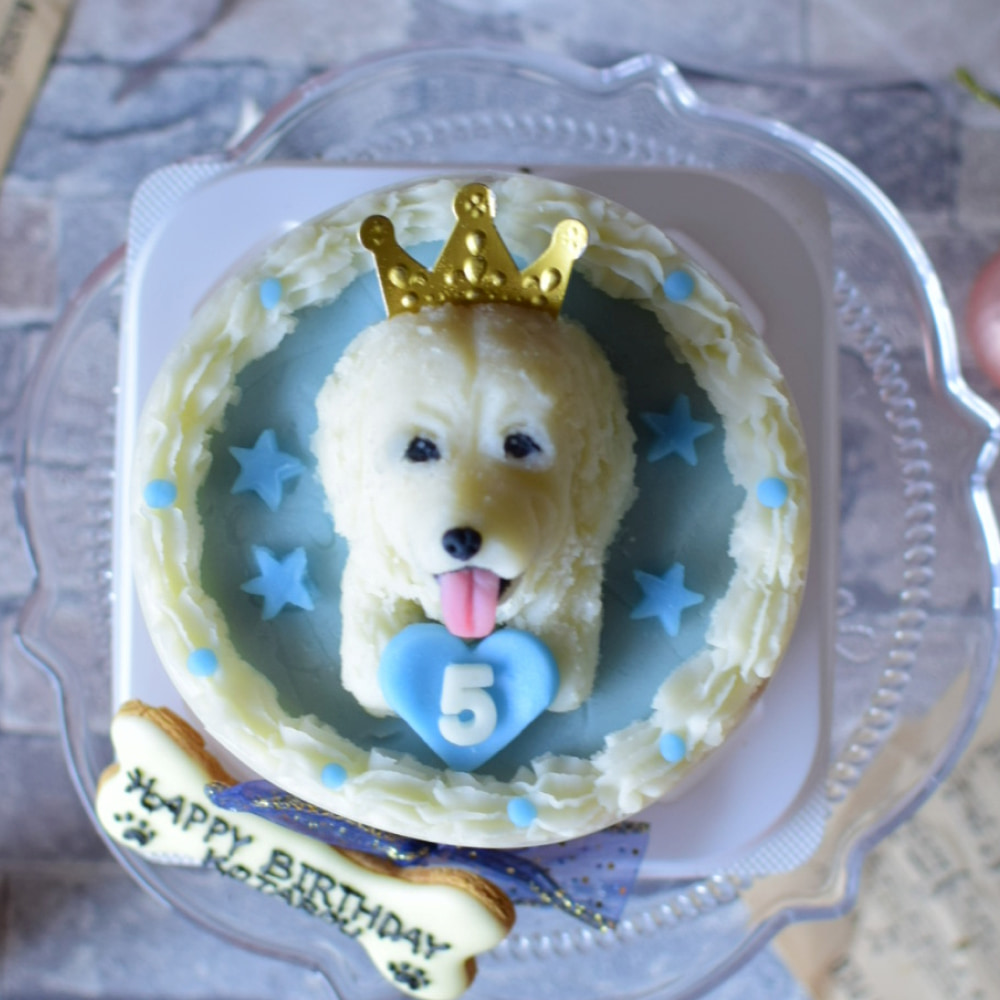 ペット専用のケーキの写真