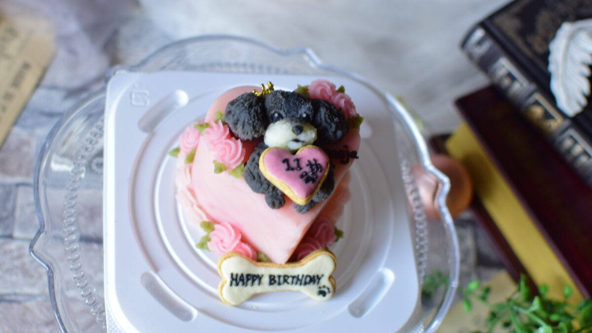 ペット専用のケーキの写真