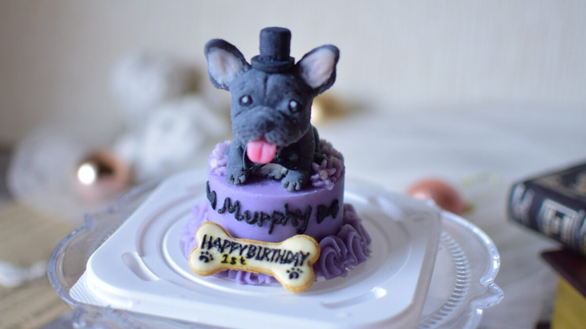 ペット専用のケーキの写真