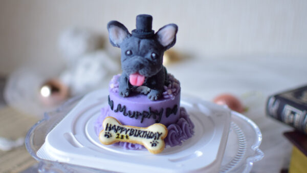 Petisserie chou chouのWebサイトが新しくなりました