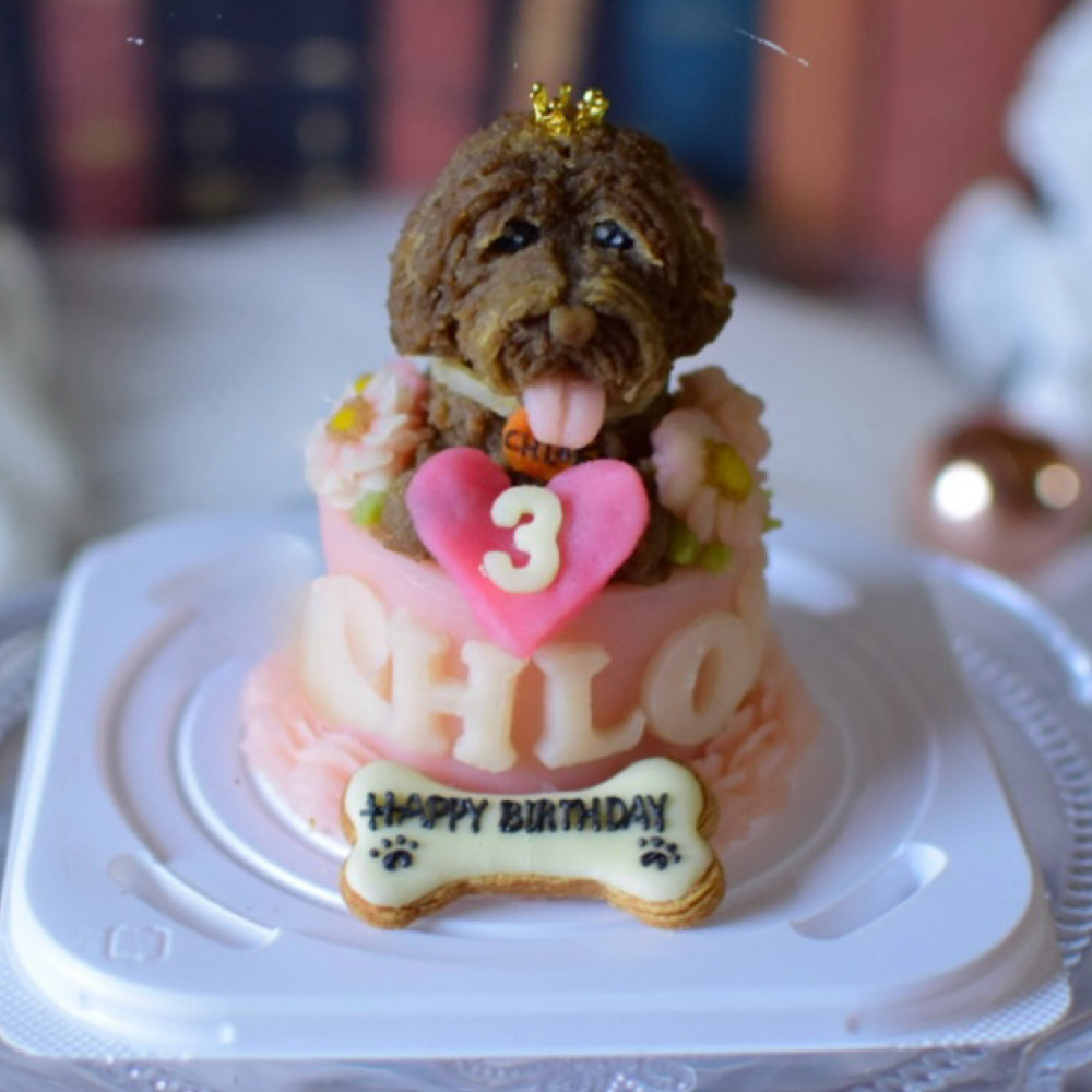 ペット専用のケーキの写真
