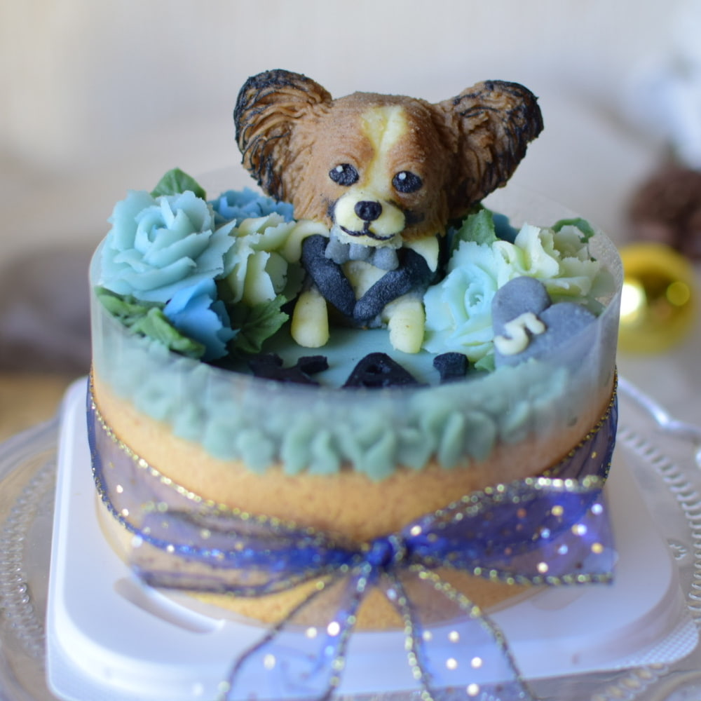 ペット専用のケーキの写真