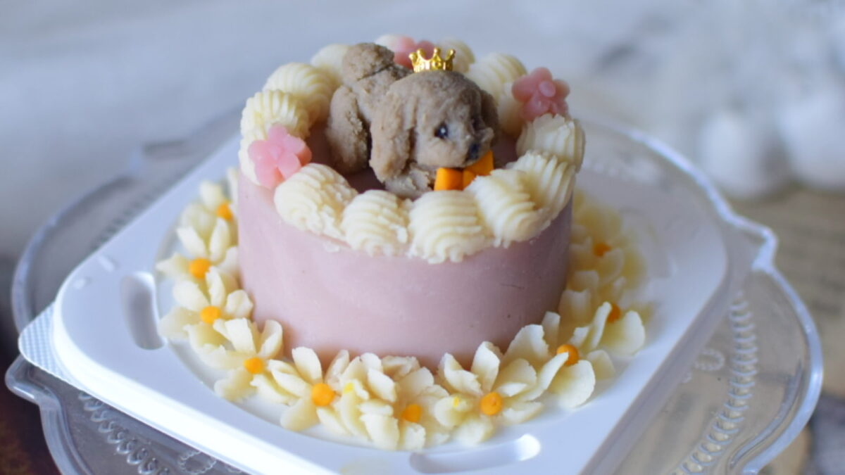 多彩メニュー愛犬ケーキマスター制作イメージ