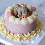 多彩メニュー愛犬ケーキマスター制作イメージ