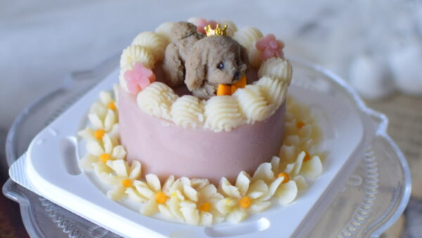 「その『かわいい』、本当に愛犬のためですか？」― 元パティシエが犬用ケーキに“安全”と“栄養”を込める理由 ―