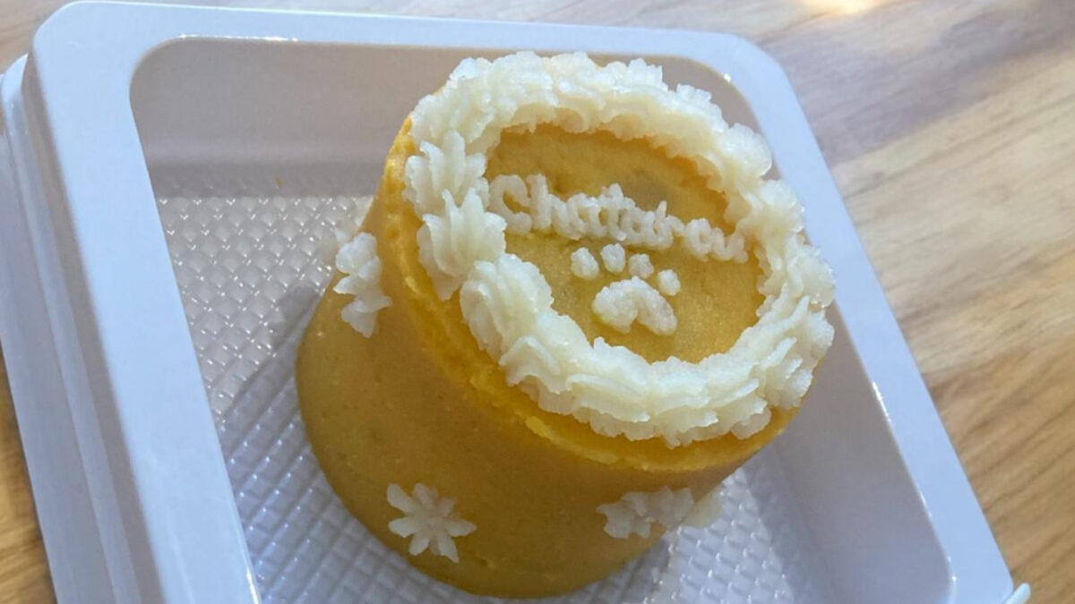 野菜嫌いのわんちゃんが完食したケーキ