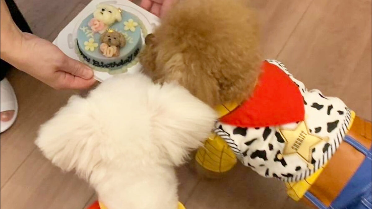 偏食の子もおいしく食べる様子