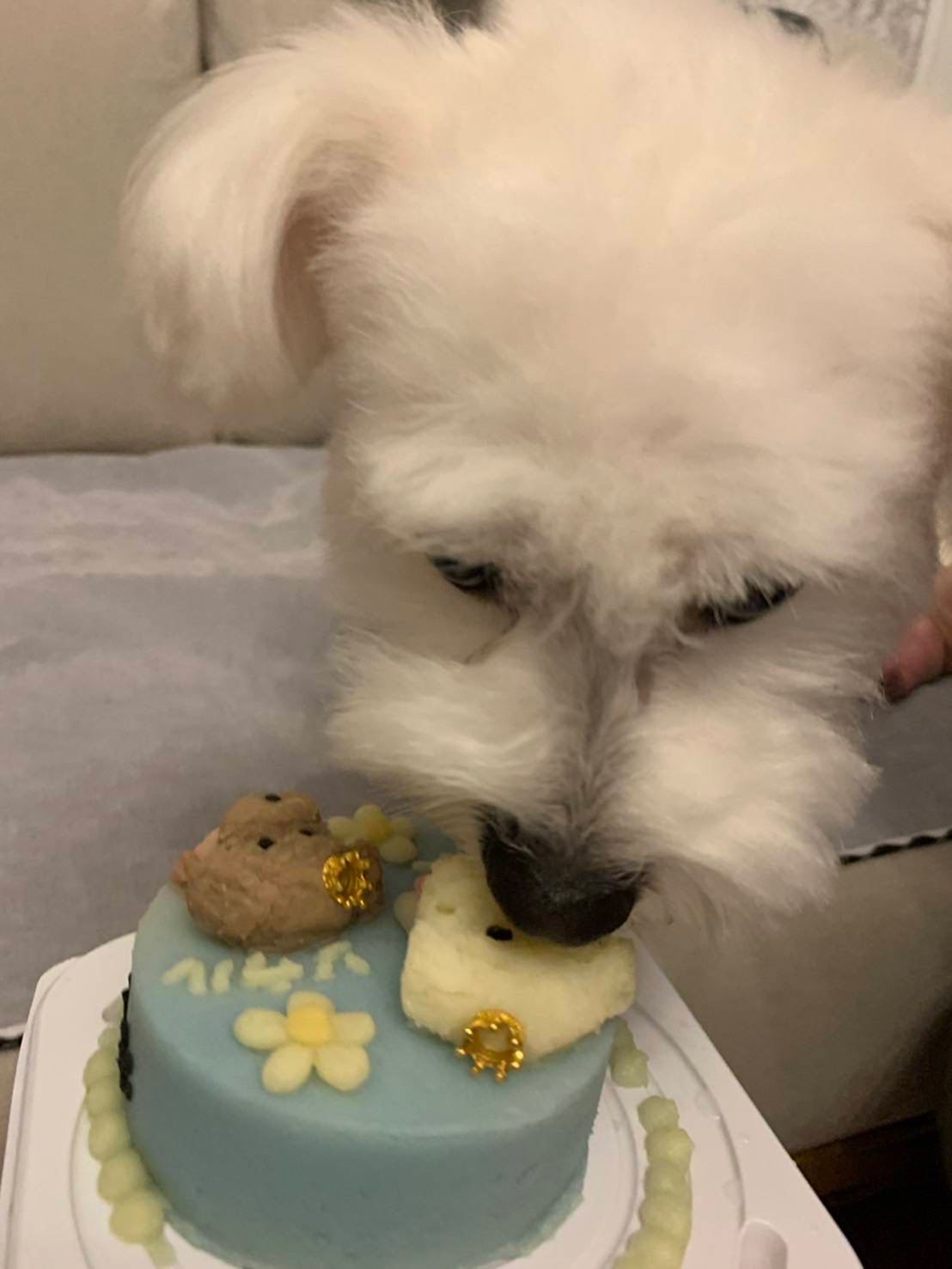 偏食の子も美味しく食べてくれる様子