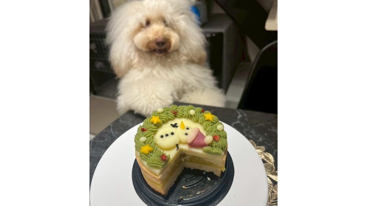 お誕生日のケーキ