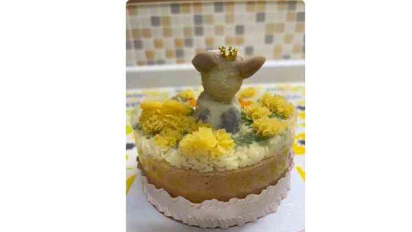 愛犬の誕生日に!菜の花畑をイメージしたオーダーメイドペットケーキ