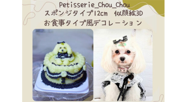 お揃いのお洋服デザイン♡愛犬の2歳のお誕生日オーダーケーキ