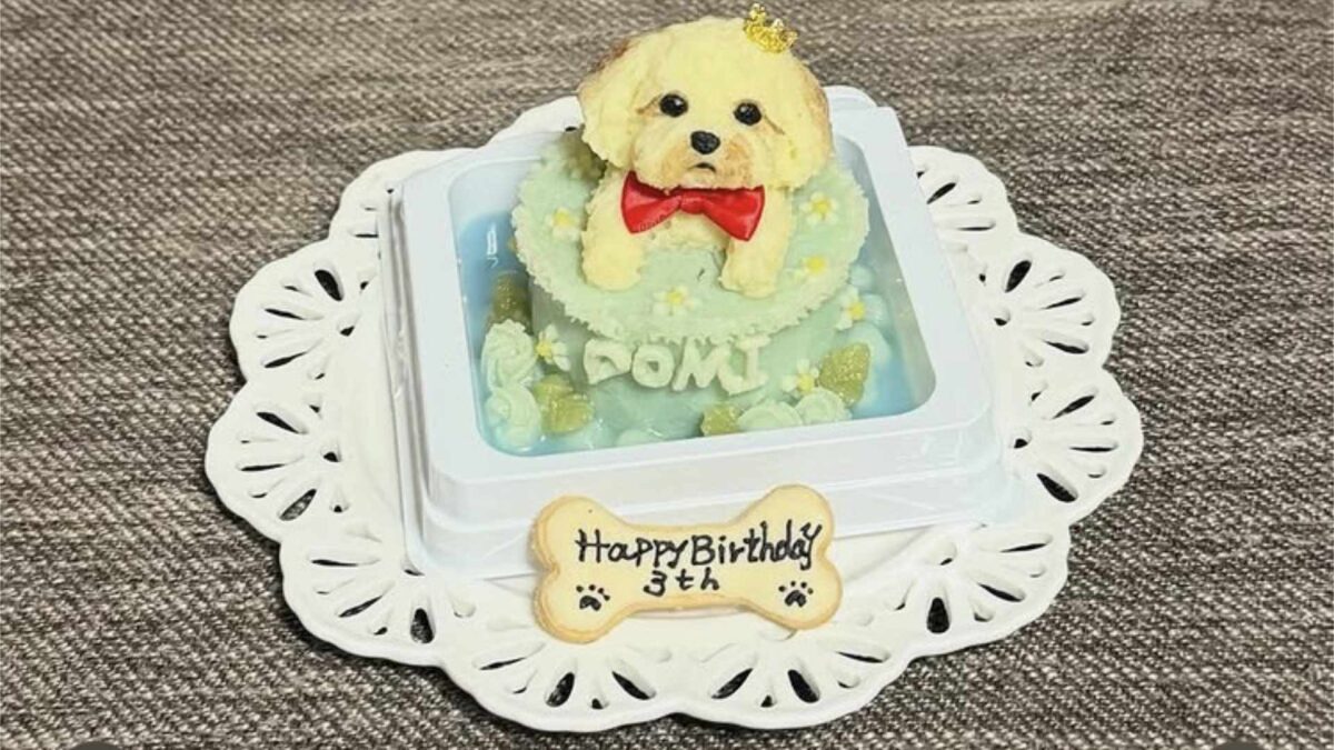 わんちゃんのお誕生日ケーキ