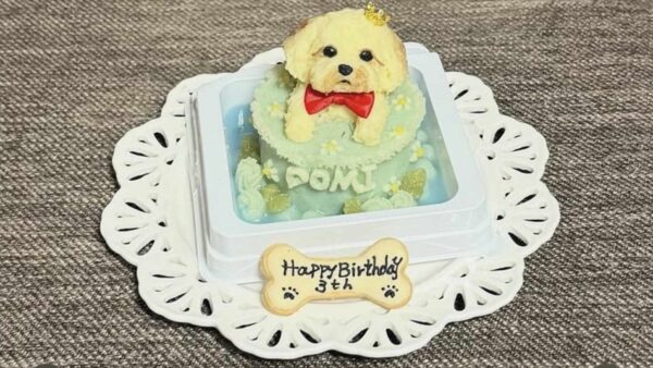 愛犬が喜ぶボーンブロス入りペットケーキで、3歳のお誕生日をお祝い！