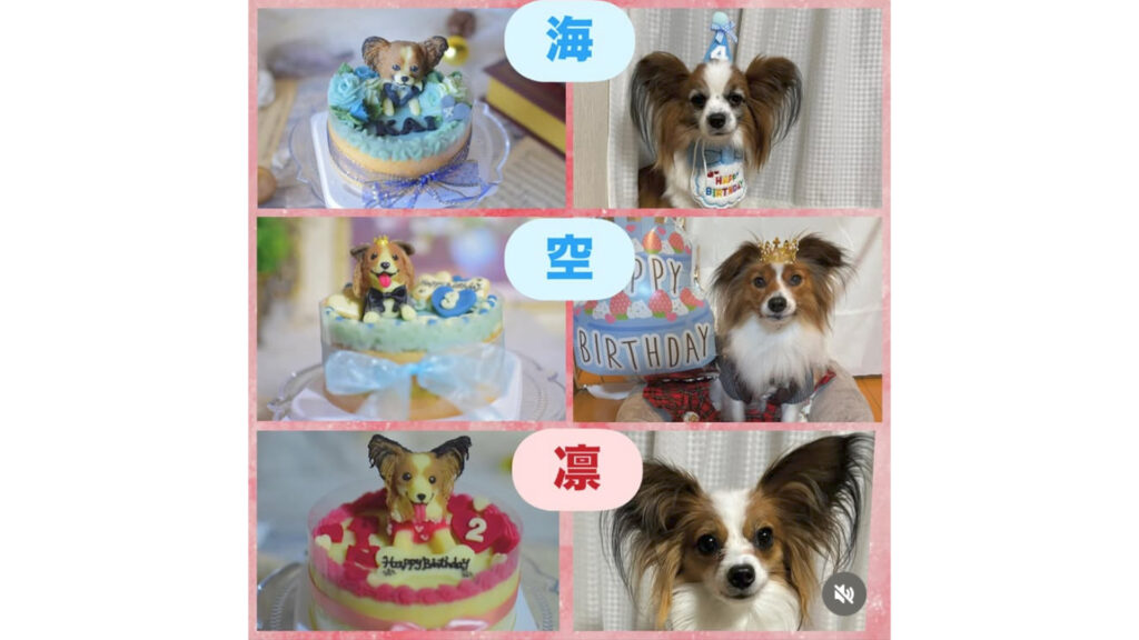 わんちゃんのお誕生日ケーキ