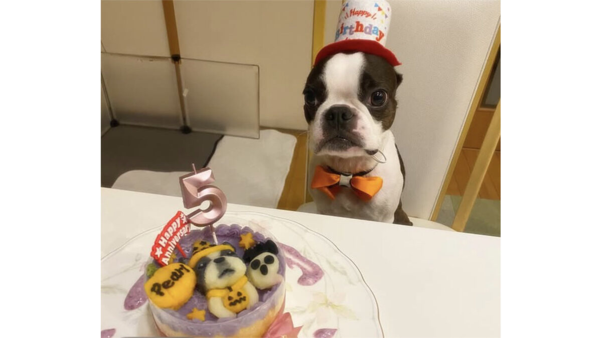 5歳のお誕生日ケーキ