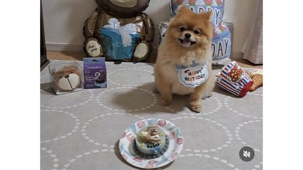 3歳のお誕生日ケーキ