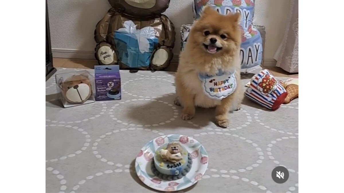 3歳のお誕生日ケーキ