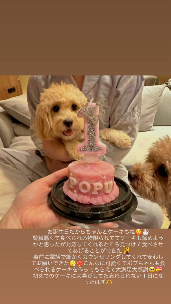 先天性腎臓病のわんちゃんへ。安心で美味しいオーダーメイドの誕生日ペットケーキ